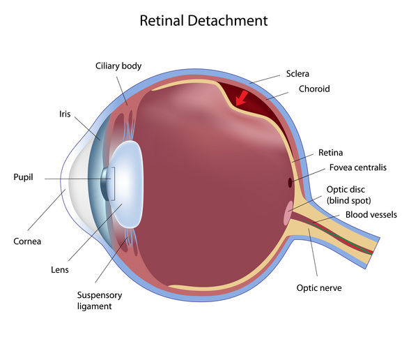 retin a on eyes