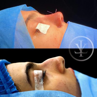 Dr. Roya Lotfi - Ear, Nose and Throat Specialist